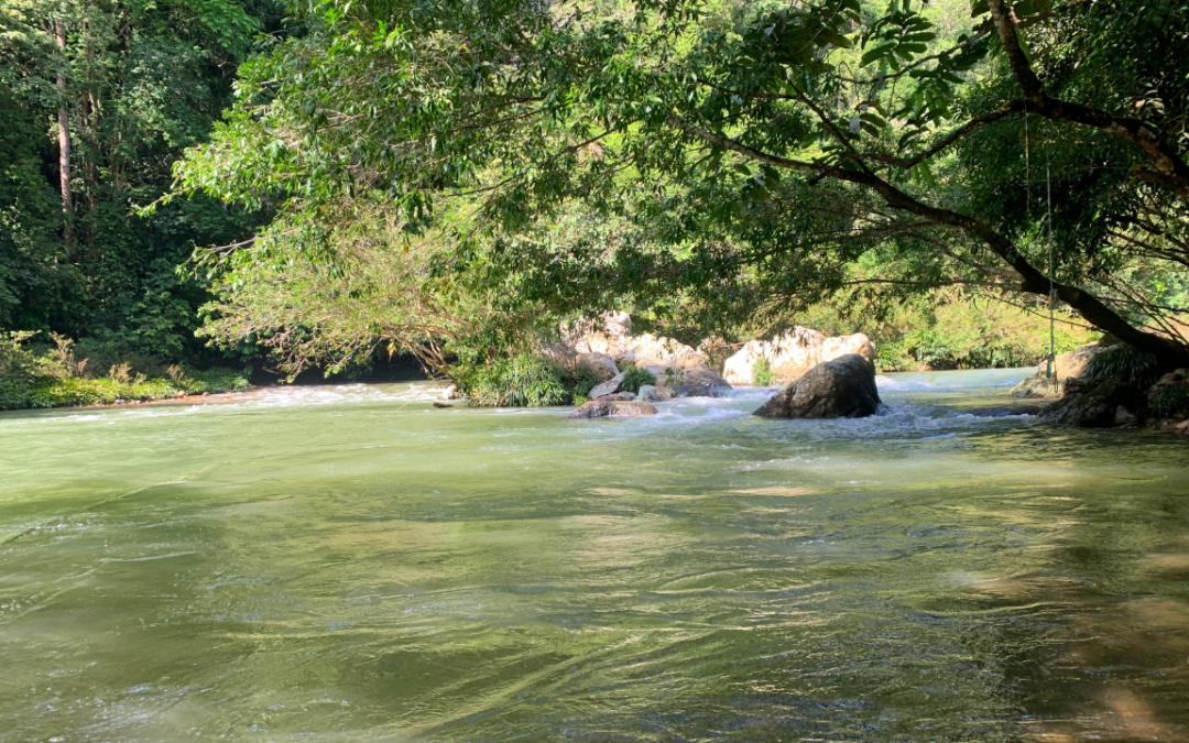 Rio Claro Colombia