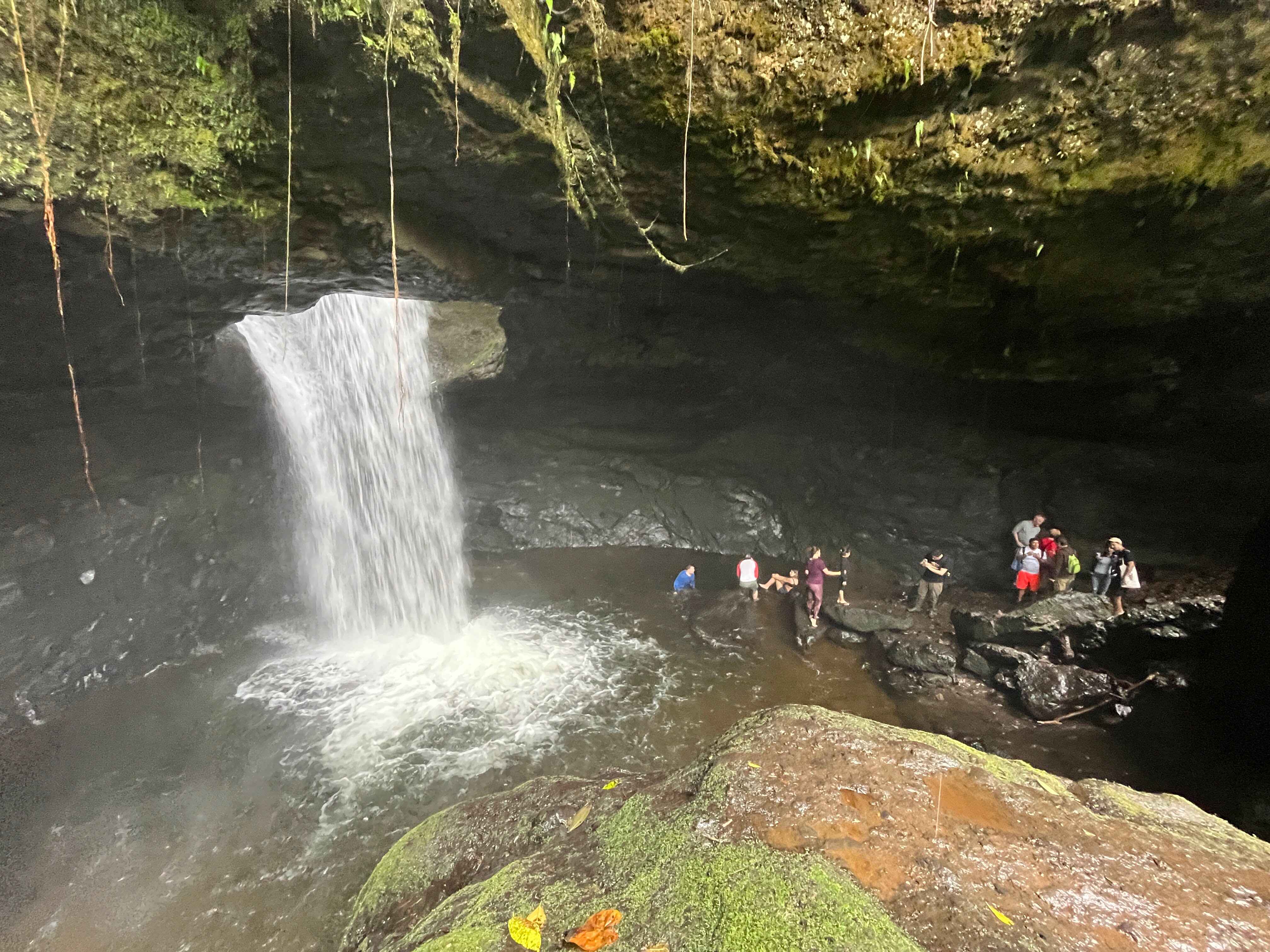 La Cueva del Esplendor, Jardín.