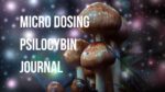 micro dosing psilocybin mushrooms